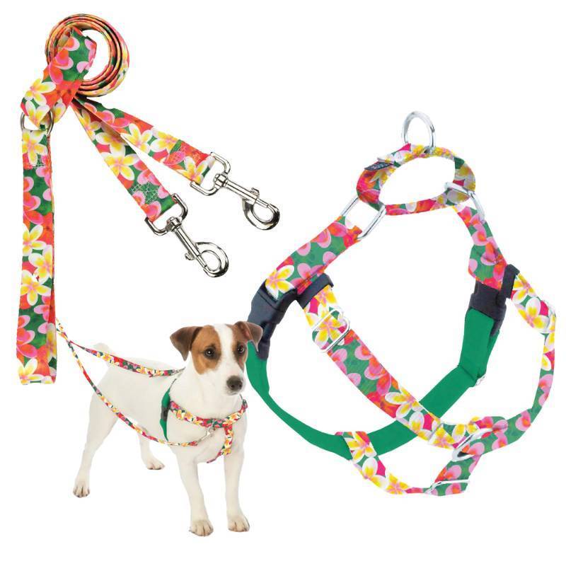 lot 42111 image: 2 Hounds Design - Freedom No-Pull Harness & Training Leash in Green Aloha  Dual Leash Loops, No Pulling on Walks  Lined to Prevent Chaffing  for Small Sized Dogs (Size S, Chest 20- 24) - Retail $49