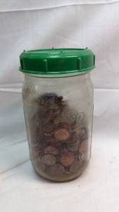 lot 231 image: Mason Jar Filled with Old Pennies Collection