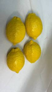 lot 301 image: Decorative hard and heavy Artificial Lemon decor