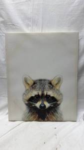 lot 314 image: Raccoon Canvas Wall Art Print