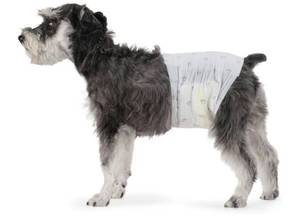 lot 46101 image: Amazon Basics Male Dog Diapers, Super Absorbent Disposable Wrap with Leak-Proof Protection, Wetness Indicator, Secure Fit, Breathable, Medium, 50 Count - Retail $24