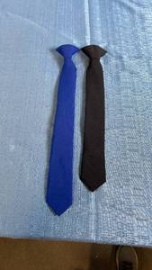 lot 3047 image: OppoSuits Clip-On Neckties Set of 2