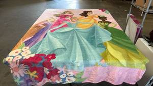 lot 8053 image: Disney Princess Characters Plush Throw Blanket