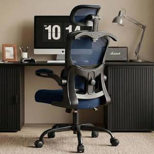 lot 5529 image: $119 AreShark Ergonomic Office Chair with Adjustable Lumbar Support