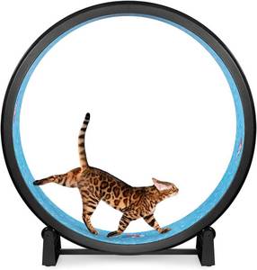 lot 5790 image: $179 One Fast Cat Exercise Wheel Gen. 7 48in Diameter USA