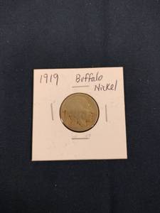 lot 59649 image: 1919 Buffalo Nickel