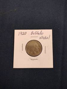 lot 59652 image: 1920 Buffalo Nickle