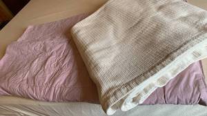 lot 1502 image: Beige blanket and king size coverlet