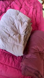 lot 1504 image: Queenking comforter and throw blankets