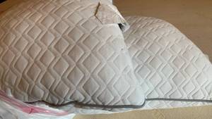lot 1520 image: Bed pillows