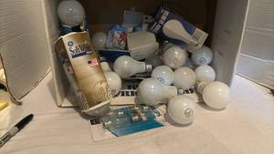 lot 3200 image: Lightbulbs - 1