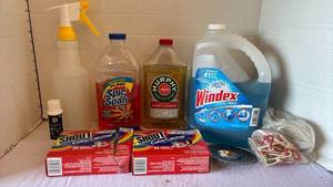 lot 3247 image: Cleaning Supplies
