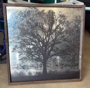 lot 52055 image: Framed Tree Landscape Wall Art - Retail $25