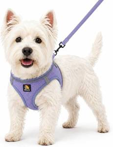 lot 301469 image: BELLA & PAL Step in Vest Harness for Small and Medium Dogs, No Pull Small Dog Harness with Leash Set, Comfortable Air Mesh Puppy Vest Harness with Reflective Strip (Lavender, XS)