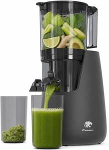 lot 201531 image: Cold Press Juicer, 6 Extra Large Feed Chute Slow Masticating Juicer Machines, Powerful AC Brushless Motor, Self Precut System, Juicer Machines with BPA-Free, Extra one Replace juicer strainer