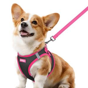 lot 30357 image: rabbitgoo Dog Harness Small Sized and Leash Set, Step-in Breathable Pet Harness, Soft Walking Reflective Puppy Vest for Small Dogs, Black & Rose Red, L - Retail $20