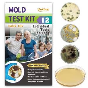 lot 22903 image: Mold Test Kit for Home Within 12 Individual Tests,DIY Detector at Home, Surface Mold,HVAC,Indoor Air Quality Testing Kits,Black Mold Testing,Includes Detailed Mold Identification Guide and Free Lab - Retail $24