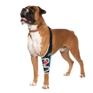 lot 30766 image: Dog Elbow Brace for Pets Elbow Dysplasia - Offers Elbow Warm and Stable, Reflective Pet Recovery Suit, Helps Wound Healing, Pet Wounds Prevent Licking, L - Retail $42