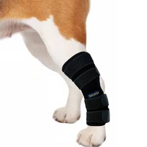 lot 1038 image: GenetGo Dog Canine Rear Leg Hock Joint Brace Compression Brace Wrap Sleeve for Protection,Sprain and Injury Prevention,Ankle Brace with Knee Support for Dogs-Small, Black - Retail $2,427