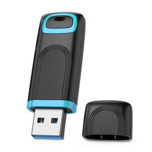 lot 1076 image: RAOYI 256GB USB 3.0 Flash Drive Thumb Drive High Speed Memory Stick Jump Drive Portable Zip Drive for PC Laptop Backup - Retail $40