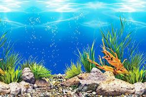 lot 40 image: Amalong New seafloor, Marine Fish Background Aquarium Background Decoration 25 x 15 (inches)
