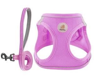 lot 189 image: Hipubby Dog Harness and Leash Set, No Pull Soft Mesh Puppy Harness for Small Medium Dogs, Cats - Step in Reflective Breathable Lightweight Vest Harness for Walking, Training - Purple, S - Retail $9