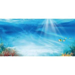 lot 984 image: AWERT Undersea Theme Aquarium Background Colorful Coral Tropical Fish Sunshine Underwater World Fish Tank Background 30x18 inches Vinyl - Retail $9