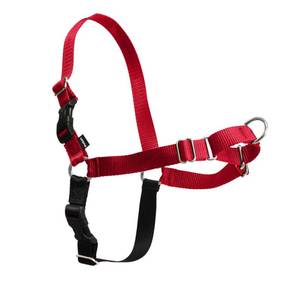lot 987 image: PetSafe Easy Walk No-Pull Dog Harness - Ultimate Harness to Help Stop Pulling - Pull-Free Walks - Take Control & Teach Better Leash Manners - Patented Martingale Loop Design - Red, MediumLarge - Retail $17