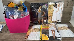 lot 244 image: Halloween Costume Bundle