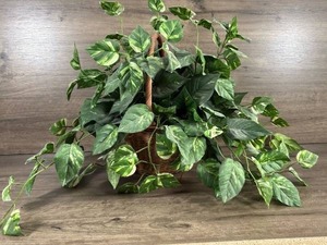 lot 315 image: Fake Plant in Wicker Basket