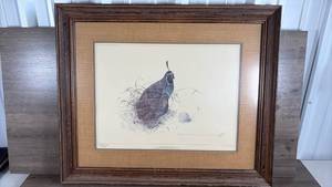 lot 378 image: Bruce Harvey California Quail Gouache Print Wairakei Golf Course