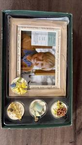 lot 394 image: Hallmark Natures Sketchbook Seasonal Picture Frame Set with Magnetic Attachments