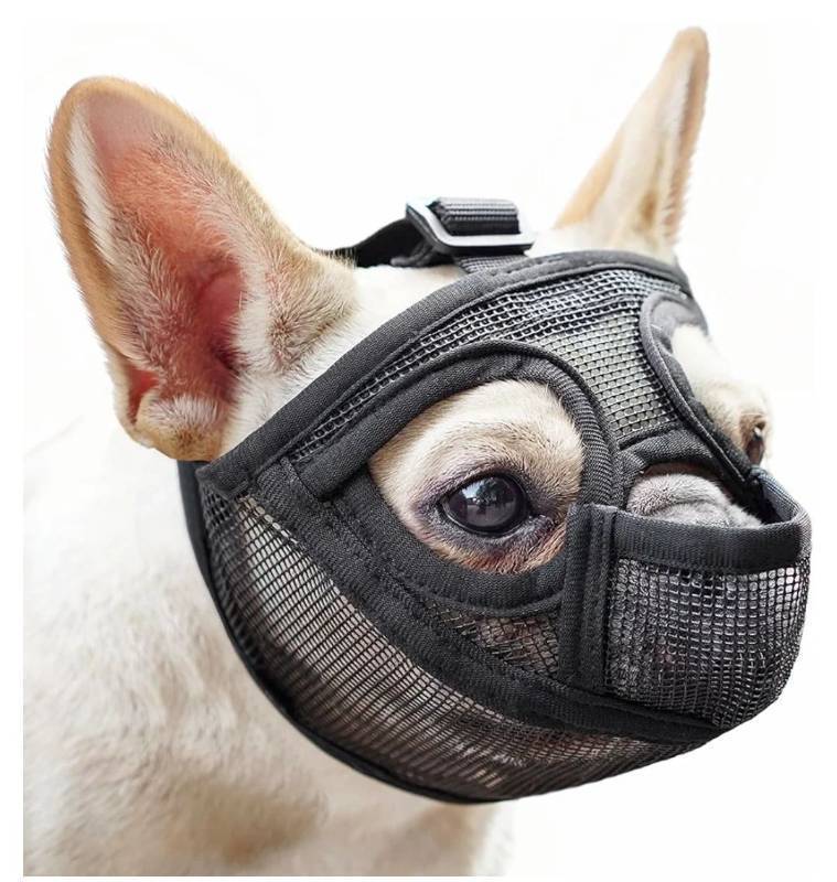lot 62918 image: Short Snout Dog Muzzle for French Bulldog with Full Pant Design to Prevent Eating Biting, Soft Mesh Dog Muzzle for Shih Tzu Pug English Bulldog for Grooming Walking, Allow to Drink and Feed(black,M) - Retail $22