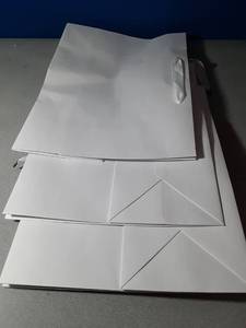 lot 265 image: Three Pack White Gift Bags - Retail $0