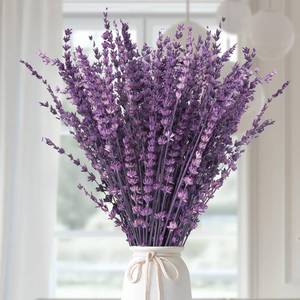 lot 287 image: Dried Purple Lavender Flowers Bundle-Dried Preserved Lavender Bouquet 15-17 for Shower Weeding Home Vase Decor, Crafts, Aromatherapy, Fragrance, Fresh Silk Dry Live Plants, 50g(1.76oz) - Retail $10