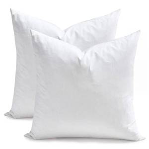 lot 341 image: TOPGREEN Feathers Down Throw Pillow Inserts 16 x 16, Set of 2, 100% Organic Cotton Shell, Soft Decorative Square Pillows Insert for Living Room Sofa, Couch, or Bed (White) - Retail $33