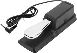 lot 450 image: CC CAIHONG Sustain Pedal for Keyboard, Piano Pedal Keyboard Foot Damper Pedal with Polarity Switch, 14��(6.5mm) Input Plug, for Electronic Keyboards, MIDI Synthesizer, Digital Pianos - Retail $13