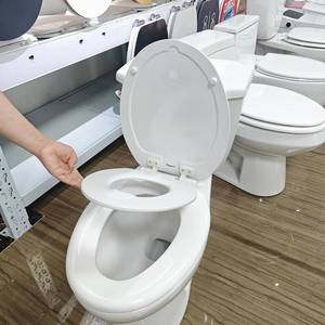 lot 2010 image: Rayport American Standard Elongated Toilet Seat with Toddler Seat, Soft Close, 2 in 1 Seat, White, Great for Adults and Child - Retail $40