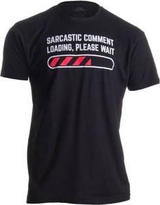 lot 2177 image: Ann Arbor T-shirt Co. Sarcastic Comment Loading Please Wait Funny Sarcasm Humor for Men Women T-Shirt-(Adult,XL) Black&nbsp&nbsp