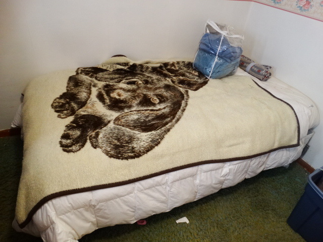 lot 14638 image: Twin size bed.