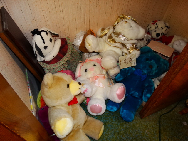 lot 14650 image: Contents in closet.