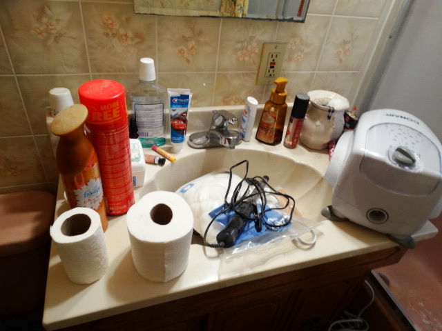 lot 14657 image: Bathroom contents.