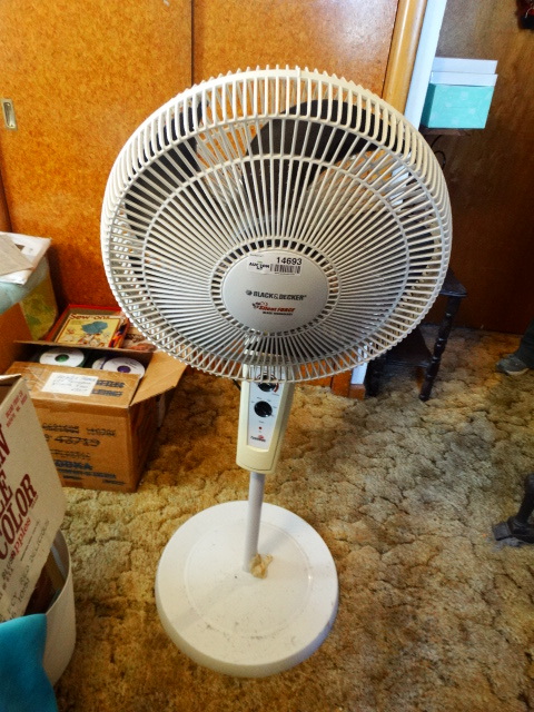 lot 14693 image: Black and decker pedastal fan.