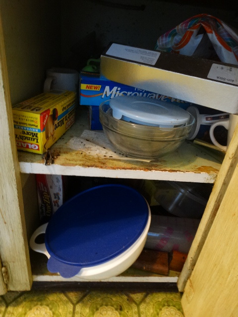 lot 14764 image: Contents in 2 lower cabinets.
