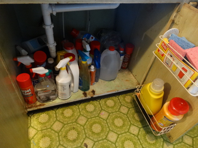 lot 14765 image: Contents in cabinet under sink.