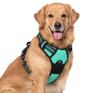 lot 1073 image: rabbitgoo Dog Harness No Pull with 2 Leash Clips, Adjustable Soft Padded, Reflective Oxford No Choke Pet Vest with Easy Control Handle for Large Dogs, Turquoise, XL - Retail $22
