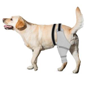 lot 1284 image: Joypig Dog Rear Leg Sleeve to Stop Licking, Hind Leg Protector for TPLO Recovery, ACL Surgery, Wounds or Skin Issues, Soft Breathable Cover for Large Medium Small Dogs (L-Right)&nbsp