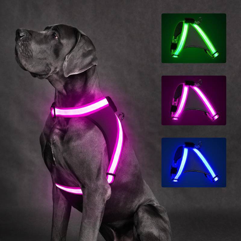 lot 62692 image: ChalkLit Light Up Dog Harness, No Pull Led Dog Harness Glow-in-The-Dark for Night Walking, USB Rechargeable Lighted Safety Vest for Medium Large Dogs, Adjustable Soft Mesh Fully Illuminated (Pink, M) - Retail $26