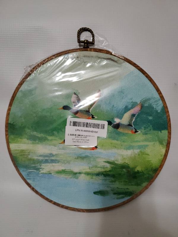 lot 62735 image: Watercolor Mallard Duck Round Canvas Art Wall Decor, Rustic Cottagecore Duck Framed Canvas Prints, Vintage Pastel Landscape Round Hanging Wall Decor for Home Room Nursery, 10x10 Inches - Retail $10