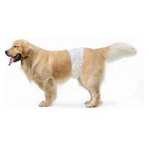 lot 1845 image: Amazon Basics Size LARGE Male Dog Disposable Wrap Diapers Pack of 30